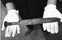 用金属探测器发现古代青铜器