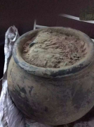 用美洲豹探到古币