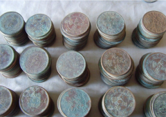 贵州黄某使用白金版赏金猎人金属探测器找“宝物”