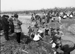 江苏村民农地挖出古铜钱遭哄抢