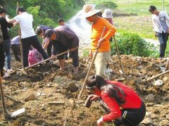 浙江宁波象山旧房拆除建新房时挖出银元