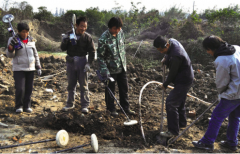 宅基地下挖出银元