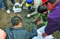 祖屋拆迁前用探金仪器寻宝挖出万斤古币