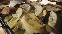 浙江李某使用黄金探测仪器找大量瓷器