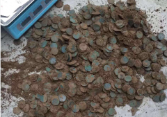 江西张某用金属探测器找到老地主埋的银元